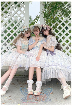 Vintage Elegant Floral Lolita Dress S22186