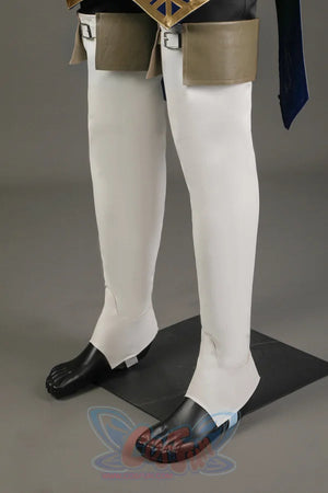 The Legend Of Zelda: Tears The Kingdom Link Cosplay Costume C08669 Costumes