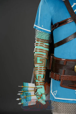 The Legend Of Zelda: Tears The Kingdom Link Cosplay Costume C09219S Costumes