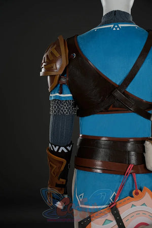 The Legend Of Zelda: Tears The Kingdom Link Cosplay Costume C09219S Costumes