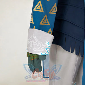 The Legend Of Zelda: Tears The Kingdom Link Cosplay Costume C08566 Costumes