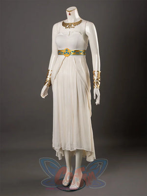 The Legend Of Zelda: Breath The Wild Princess Zelda Dress Cosplay Costumes C08294