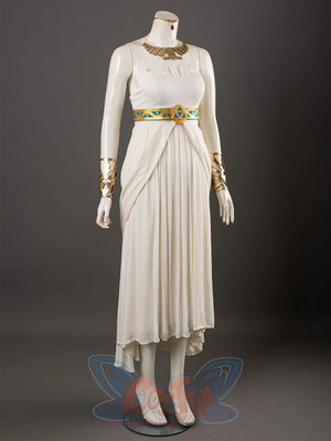 The Legend Of Zelda: Breath The Wild Princess Zelda Dress Cosplay Costumes C08294