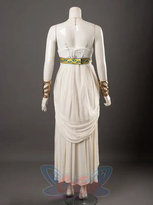 The Legend Of Zelda: Breath The Wild Princess Zelda Dress Cosplay Costumes C08294