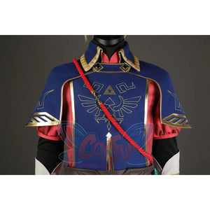 The Legend Of Zelda: Tears The Kingdom Link Cosplay Costume C08669 Costumes