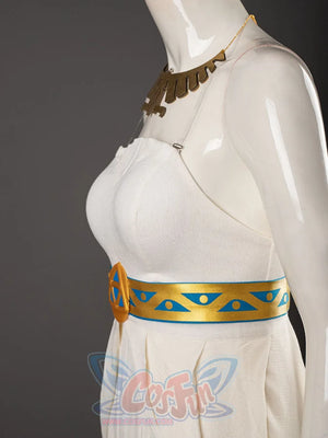 The Legend Of Zelda: Breath The Wild Princess Zelda Dress Cosplay Costumes C08294