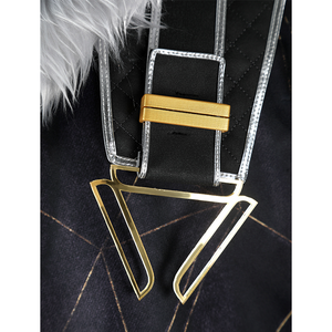 Clair Obscur: Expedition 33 Verso Cosplay Costume, cloak with metal buckle.