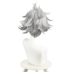 Rudo cosplay wig back view showing silver layered spiky hairstyle with flowing hair strands