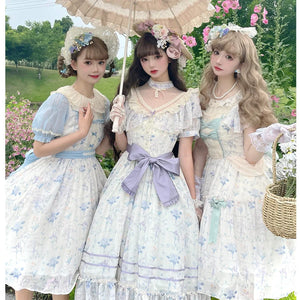Vintage Elegant Floral Lolita Dress S22186