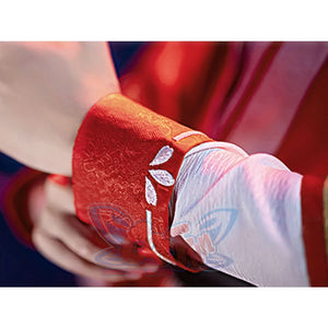 Pre-Sale Heaven Official’s Blessing Tian Guan Ci Fu San Lang Hua Cheng Cosplay Costume C00673