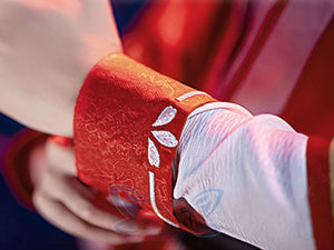 Pre-Sale Heaven Official’s Blessing Tian Guan Ci Fu San Lang Hua Cheng Cosplay Costume C00673