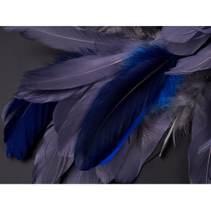 Wuthering Waves Gabrielle Cosplay Costume, mostly gray feathers with a small amount of deep blue feathers for contrast.