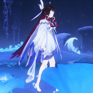 【CONFIRMATION】Deposit Genshin Impact Moon Maiden Columbina Cosplay Costume