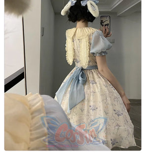 Vintage Elegant Floral Lolita Dress S22186