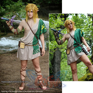 The Legend of Zelda: Tears of the Kingdom Link Cosplay Costume C02953 Costumes