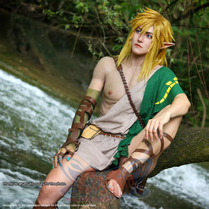 The Legend of Zelda: Tears of the Kingdom Link Cosplay Costume C02953 Costumes