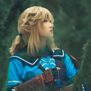The Legend of Zelda Tears of the Kingdom Link cosplay costume sets a blue tunic.