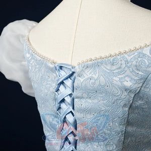 【READY TO SHIP】Cinderella Cosplay Costume Princess Dress Fairy Tale Ball Gown N08290 Costumes