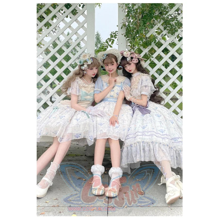 Vintage Elegant Floral Lolita Dress S22186