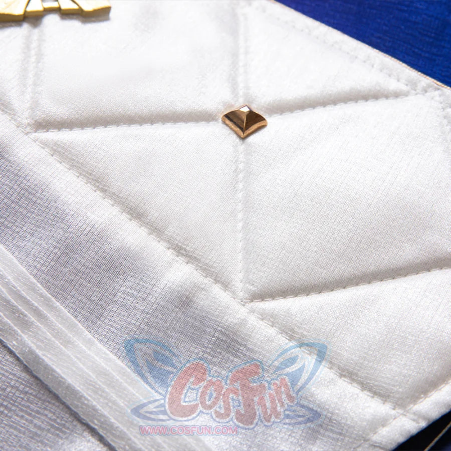 Honkai Impact 3 Raiden Mei Cosplay Costume C08940 Costumes