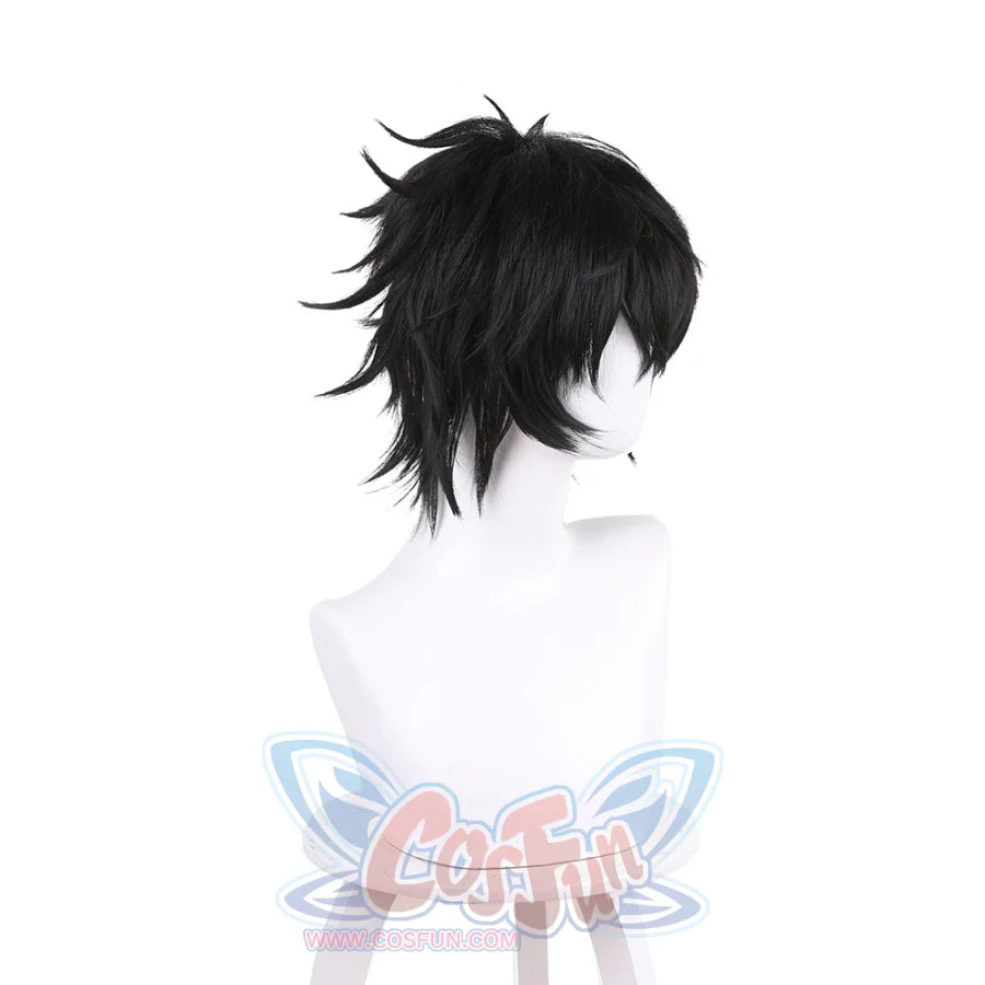 Naofumi Iwatani Cosplay Wig C01122 Black Wigs
