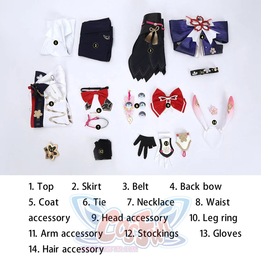 Honkai: Star Rail Evanescia Cosplay Costume 英文