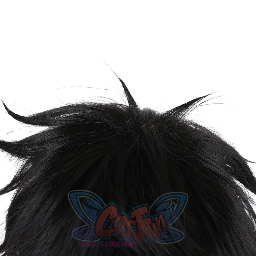 Naofumi Iwatani Cosplay Wig C01122 Black Wigs