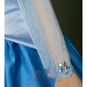 Fairy Tale Aurora Princess Cosplay Costume, the sleeves is light blue crystal gauze with flower decoration