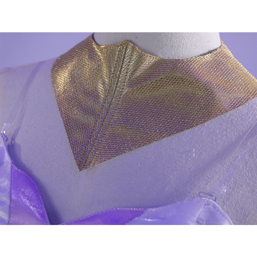 Knights of Guinevere Cosplay Costume Guinevere Princess Dress N09753