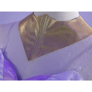 Knights of Guinevere Cosplay Costume Guinevere Princess Dress N09753