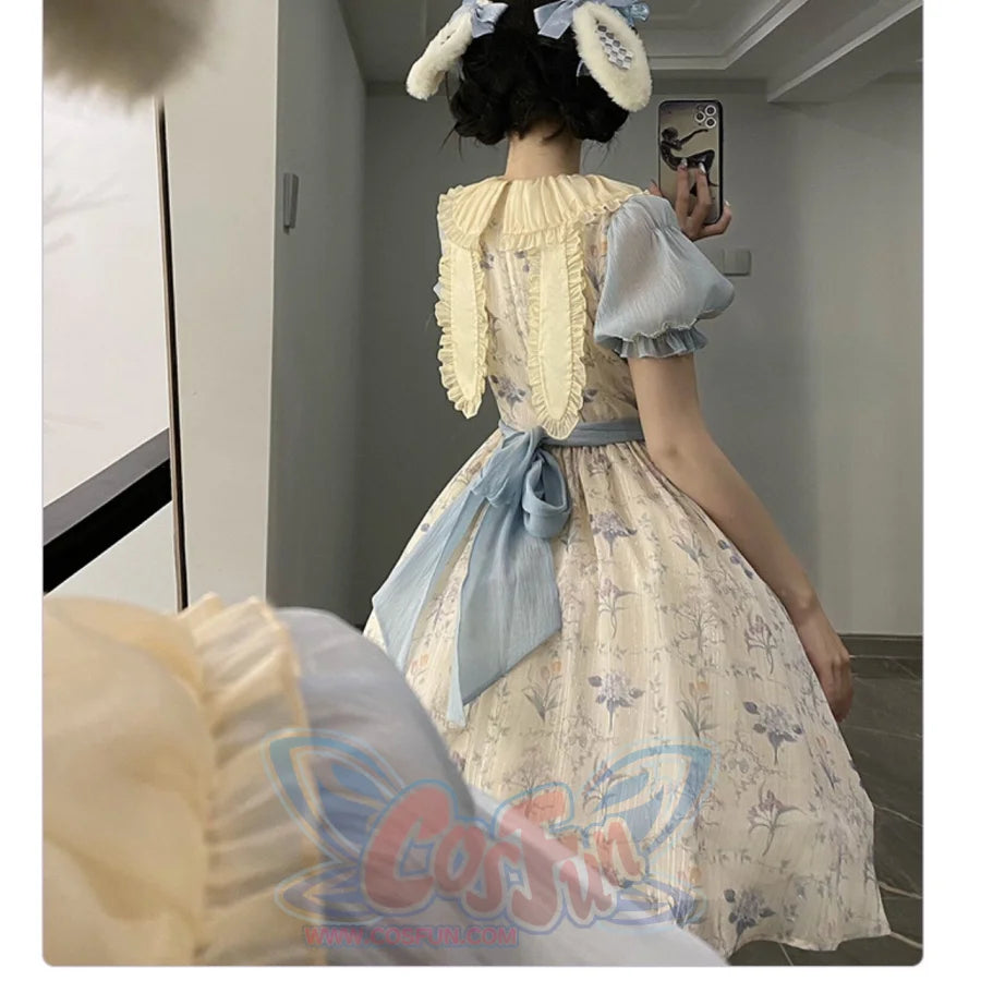 Vintage Elegant Floral Lolita Dress S22186
