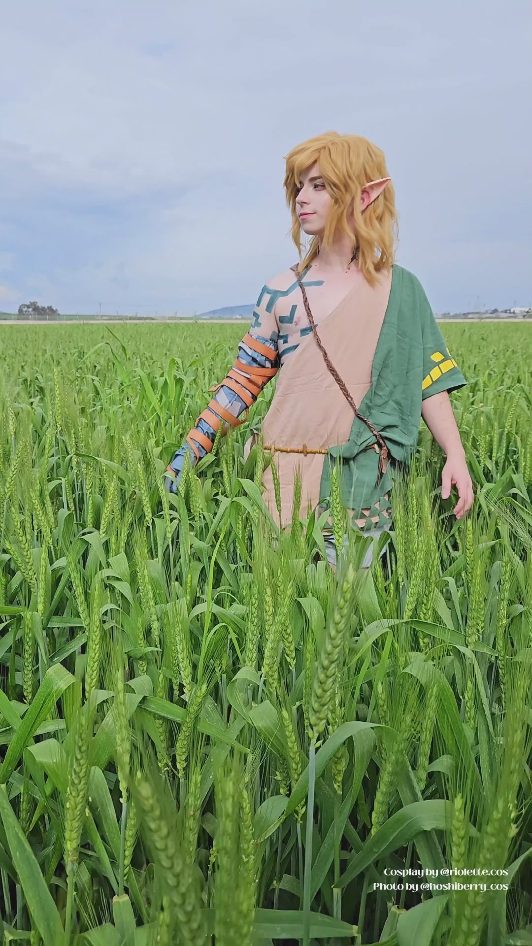 【READY TO SHIP】The Legend of Zelda: Tears of the Kingdom Link Cosplay Costume N07826