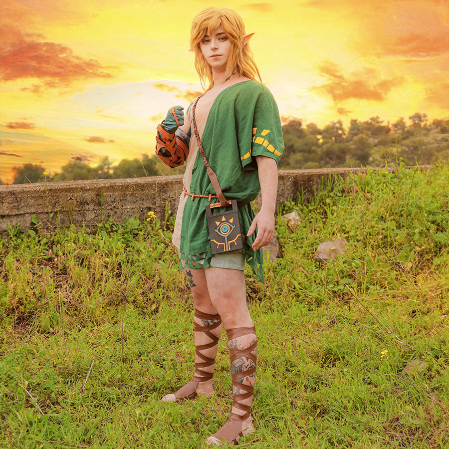 The Legend of Zelda: Tears of the Kingdom Link Cosplay Costume C07826