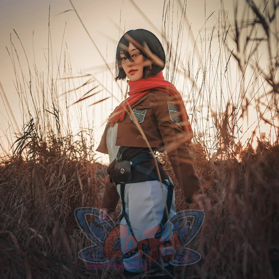 Attack on Titan Shingeki no Kyojin Mikasa Ackermann Cosplay Costume mp000733 Costumes