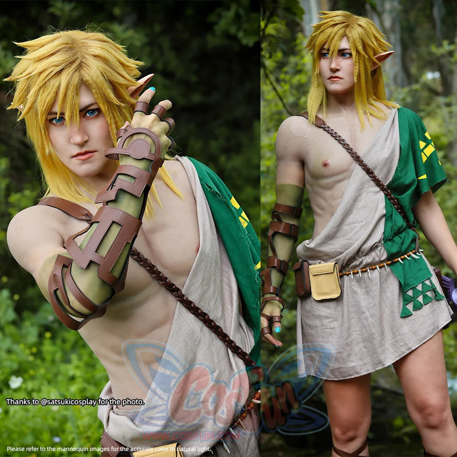 The Legend of Zelda: Tears of the Kingdom Link Cosplay Costume C02953 Costumes