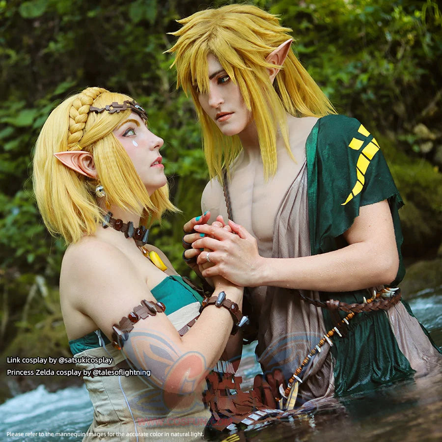 The Legend of Zelda: Tears of the Kingdom Link Cosplay Costume C02953 Costumes