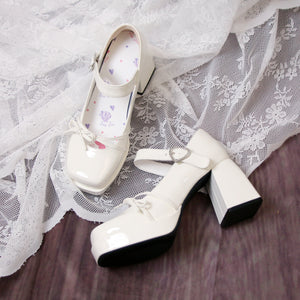 Elegant Square Toe Chunky High Heel Lolita Shoes S22459