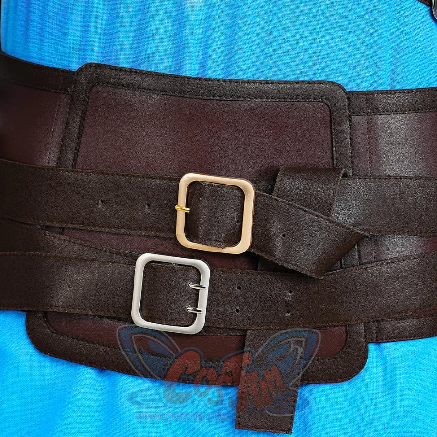 The Legend of Zelda: Tears of the Kingdom Link Cosplay Costume Upgraded Version N07302S - cosfun