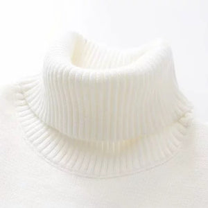 Milk Carton Turtleneck Sweater J10028 Sweatshirt